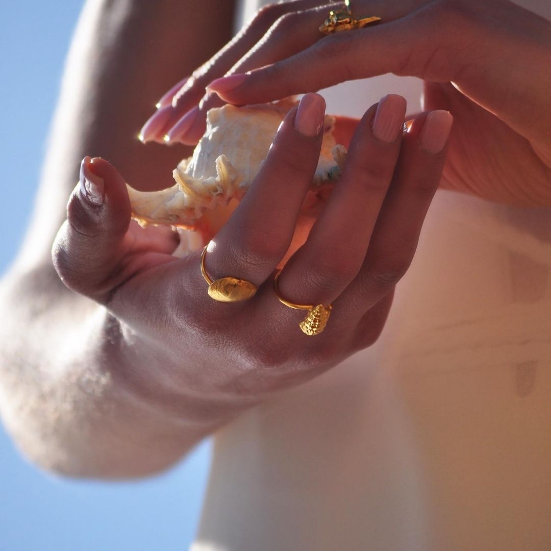 agapi-seastories-wild-seashell-bague-dor-e-taille-54 image 4