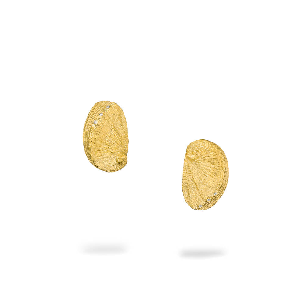 agapi-seastories-ear-shell-puces-plaqu-or-zircon image 1