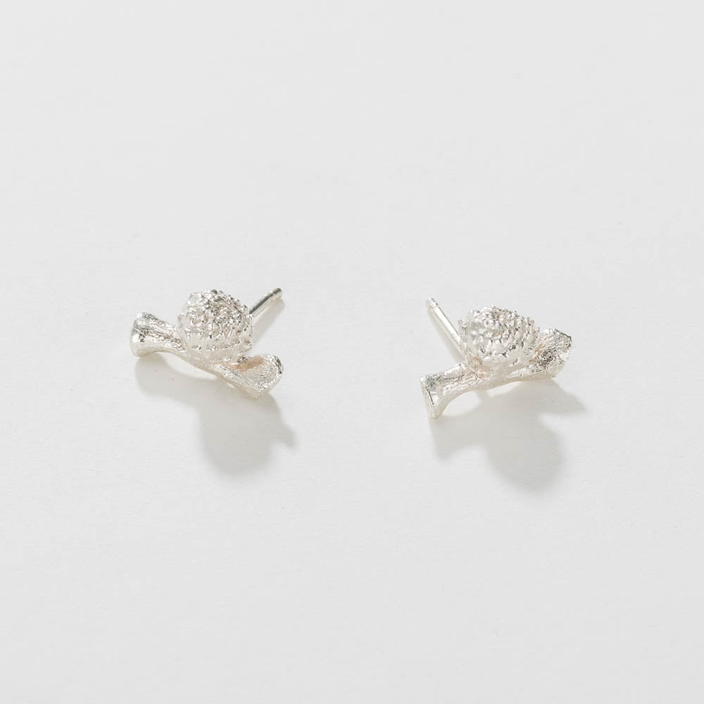 agapi-forestland-graine-sur-brindille-clous-d-oreilles-argent-925 image 1
