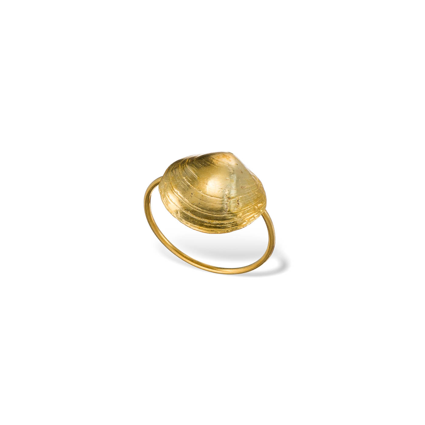 agapi-seastories-bague-coquillage-romantic-clam-dor-taille-54 image 3