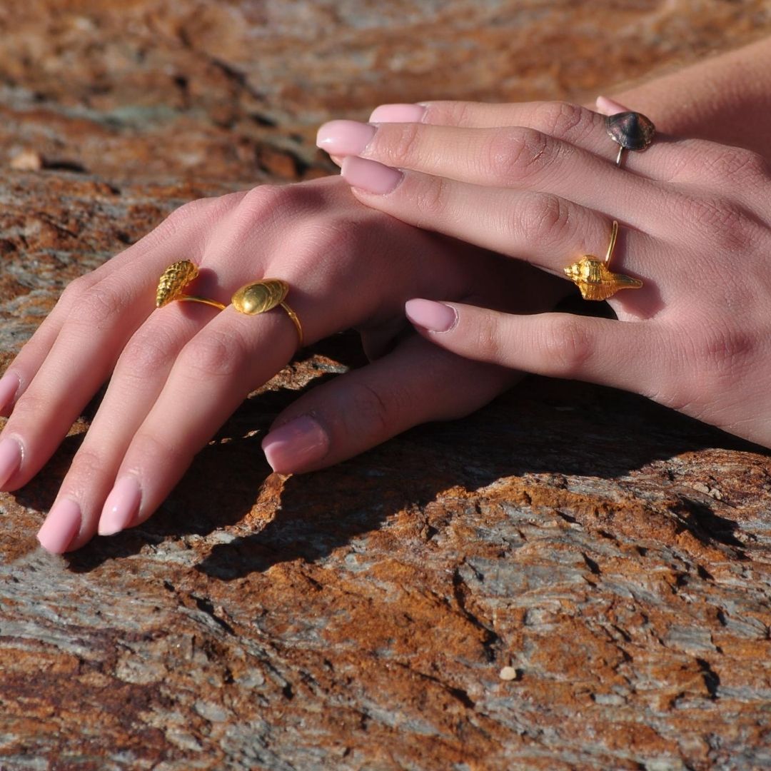 agapi-seastories-wild-seashell-bague-dor-e-taille-54 image 5