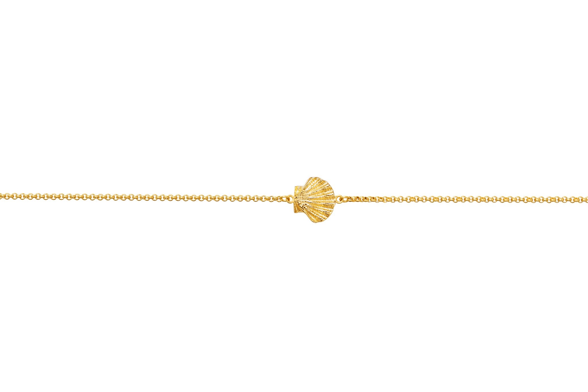 armeria-sainte-jakez-collier-coquille-saint-jacques-acier-10-mm image 1