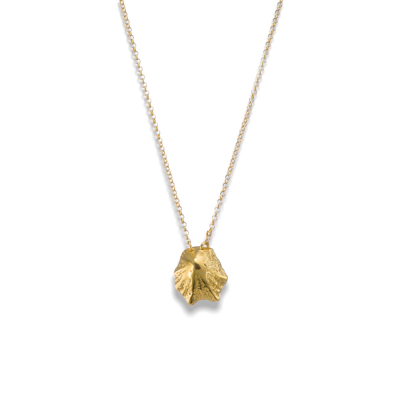 agapi-seastories-rock-limpet-collier-dor-40-cm-argent-925 image 1