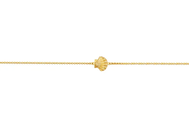 armeria-sainte-jakez-collier-coquille-saint-jacques-acier-10-mm image 1