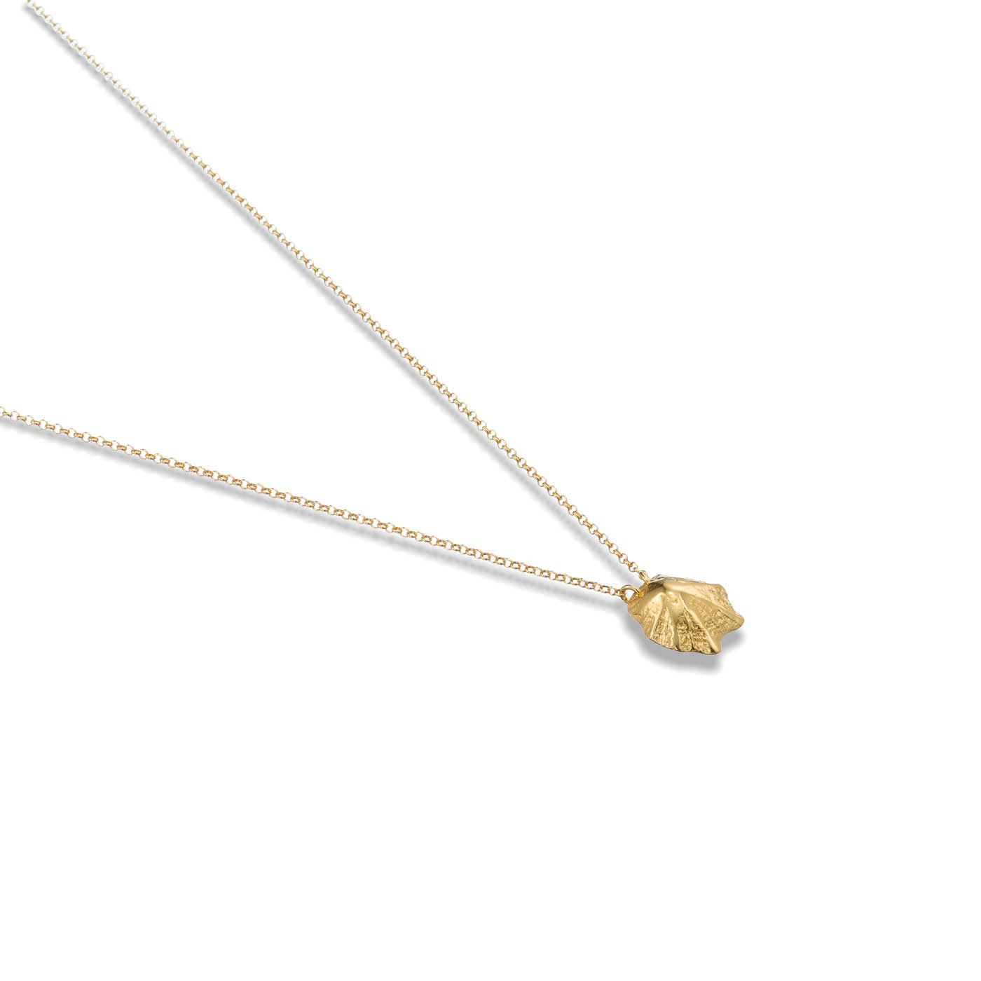 agapi-seastories-rock-limpet-collier-dor-40-cm-argent-925 image 2