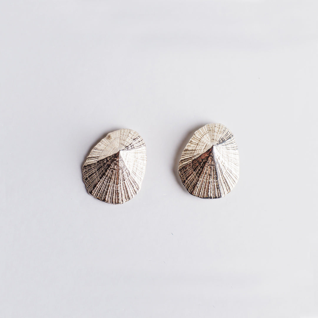 agapi-seastories-favourite-limpet-puces-argent-925-coquillage image 1