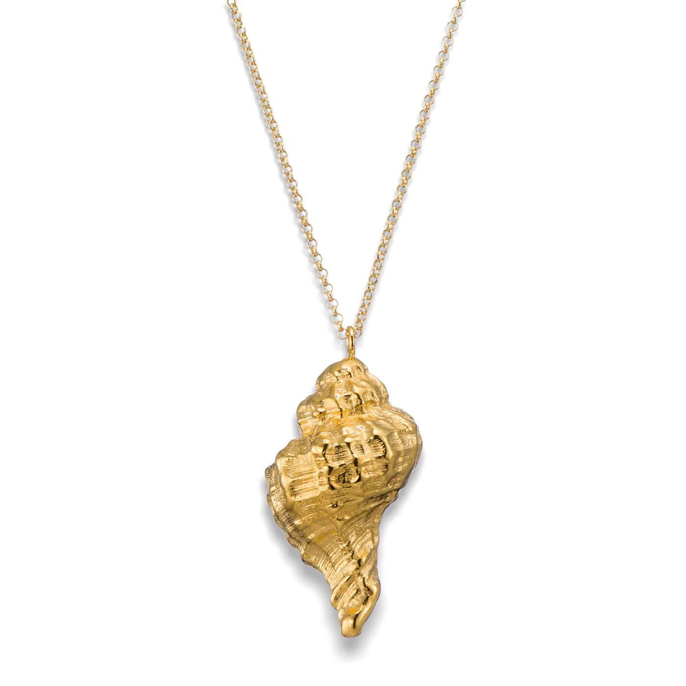 agapi-seastories-big-extravaganza-collier-coquillage-dor-80-cm image 3