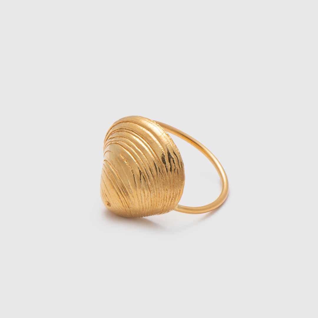 agapi-seastories-master-clam-bague-coquillage-dor-e-taille-54 image 4