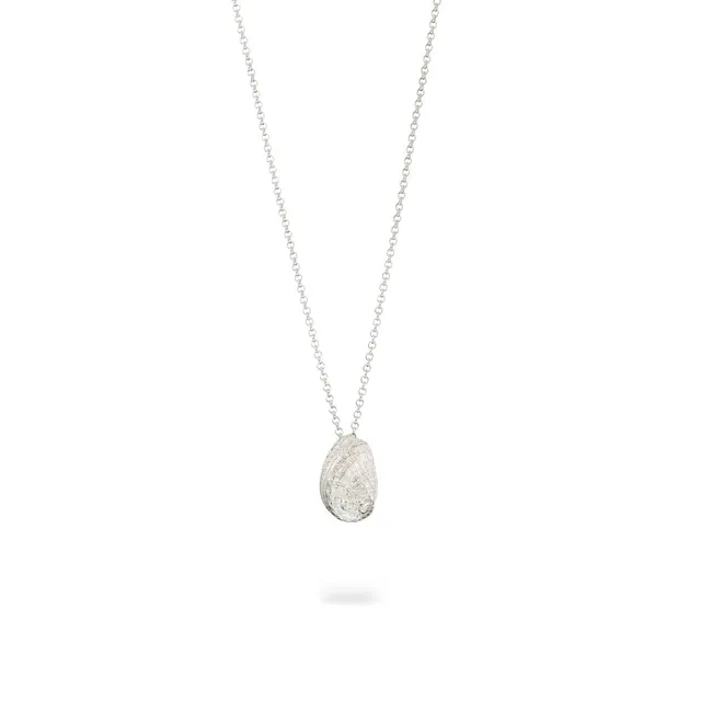 agapi-seastories-small-ear-shell-collier-coquillage-argent image 1