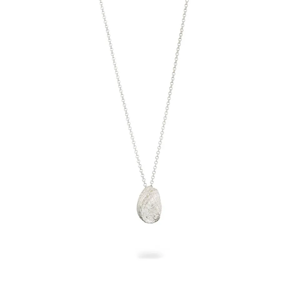 agapi-seastories-small-ear-shell-collier-coquillage-argent image 1