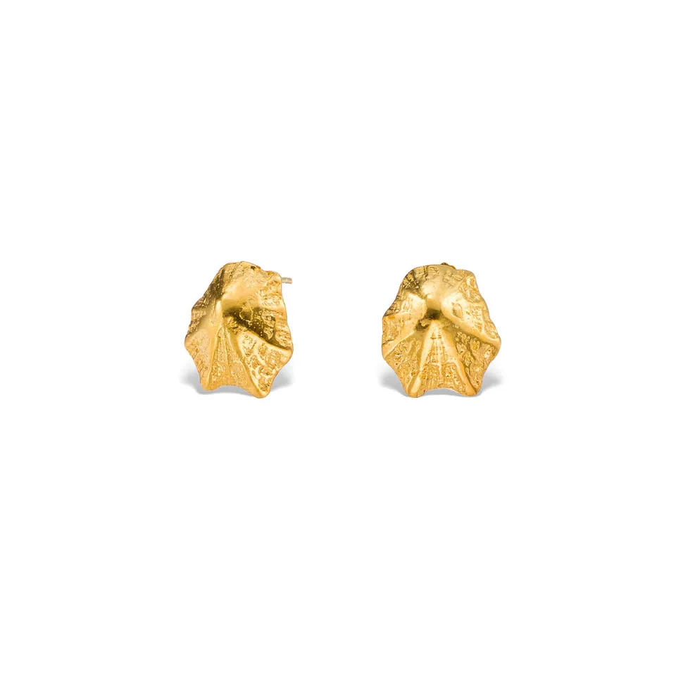 agapi-seastories-rock-limpet-clous-doreilles-dor-plaqu-or image 1