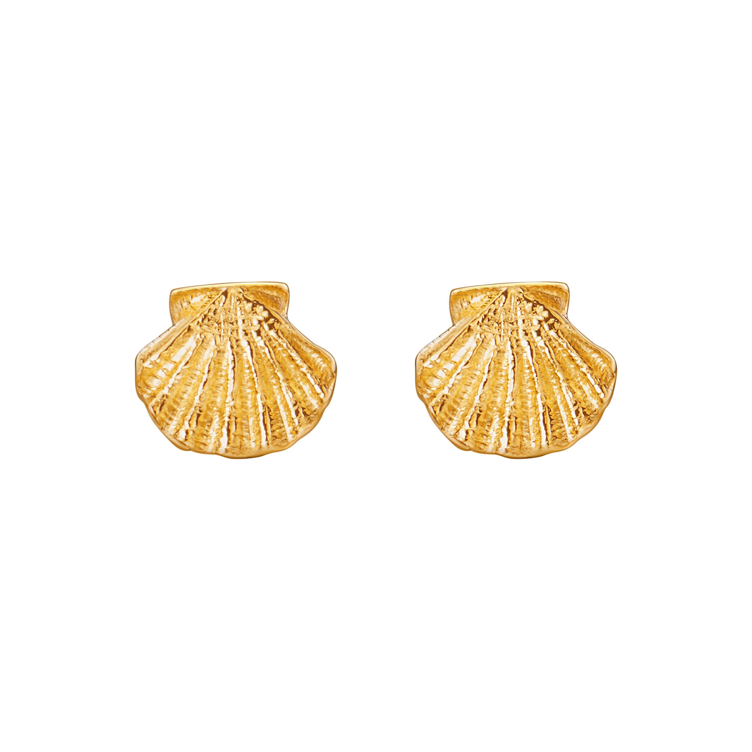 armeria-sainte-jakez-clous-d-oreilles-coquille-or-jaune-10mm image 1
