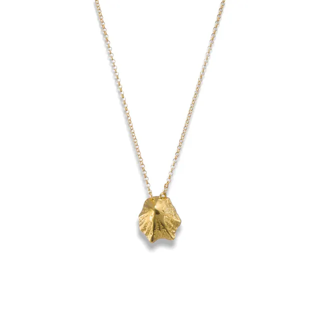 agapi-seastories-rock-limpet-collier-dor-40-cm-argent-925 image 1