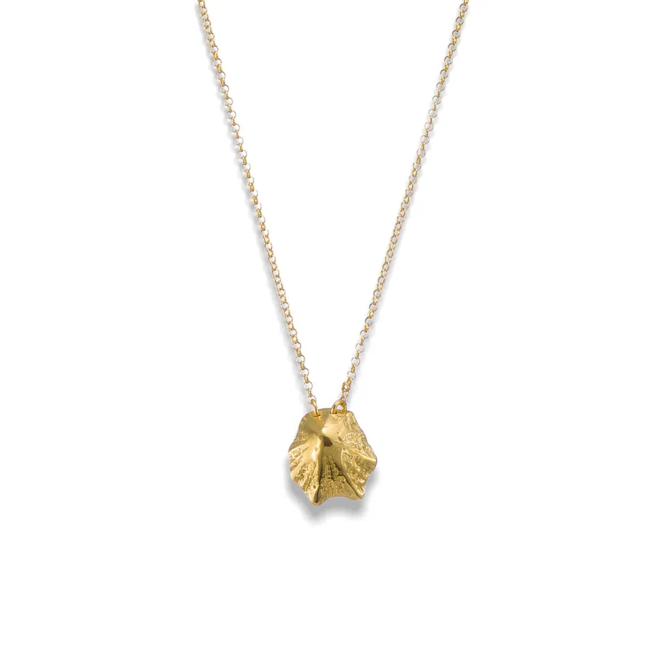 agapi-seastories-rock-limpet-collier-dor-40-cm-argent-925 image 1