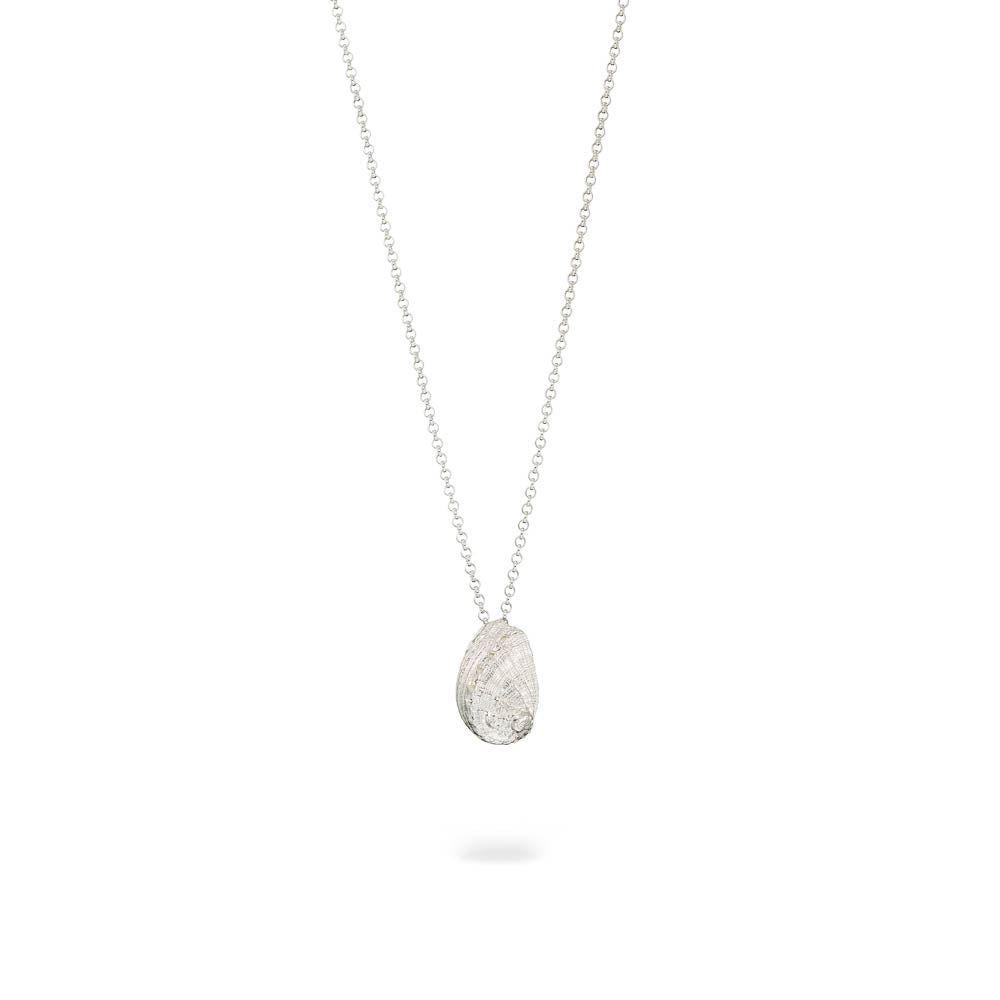 agapi-seastories-small-ear-shell-collier-coquillage-argent image 1
