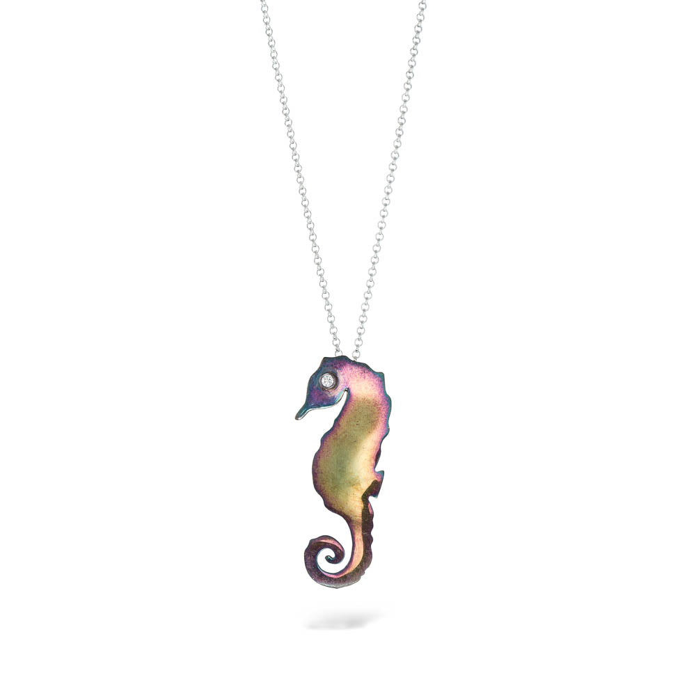 agapi-the-fish-seahorse-collier-cha-ne-argent-patine-arc-en-ciel image 1
