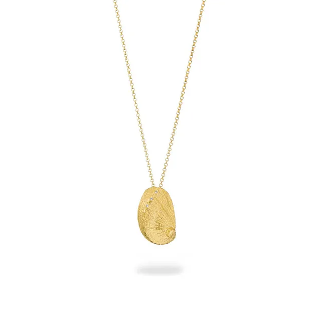 agapi-seastories-ear-shell-collier-cha-ne-plaqu-or image 1