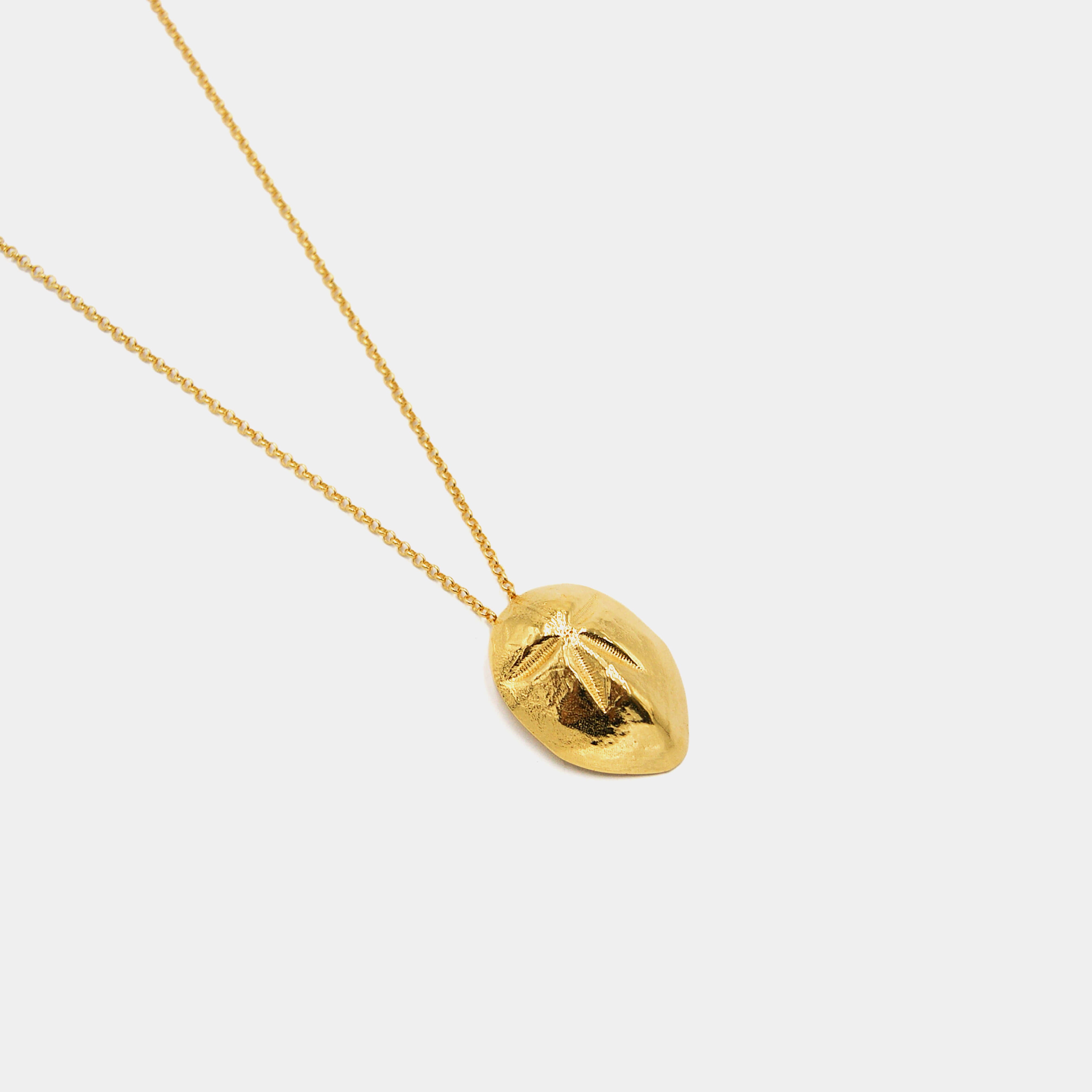 agapi-seastories-mellita-collier-oursin-plaqu-or-45-cm image 3