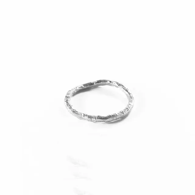 agapi-forestland-branch-band-bague-argent-925-fine-taille-50 image 1