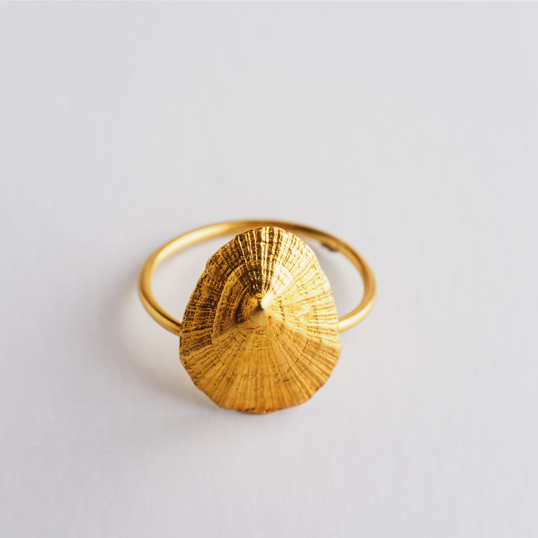agapi-seastories-bague-favourite-limpet-dor-e-argent-925 image 3