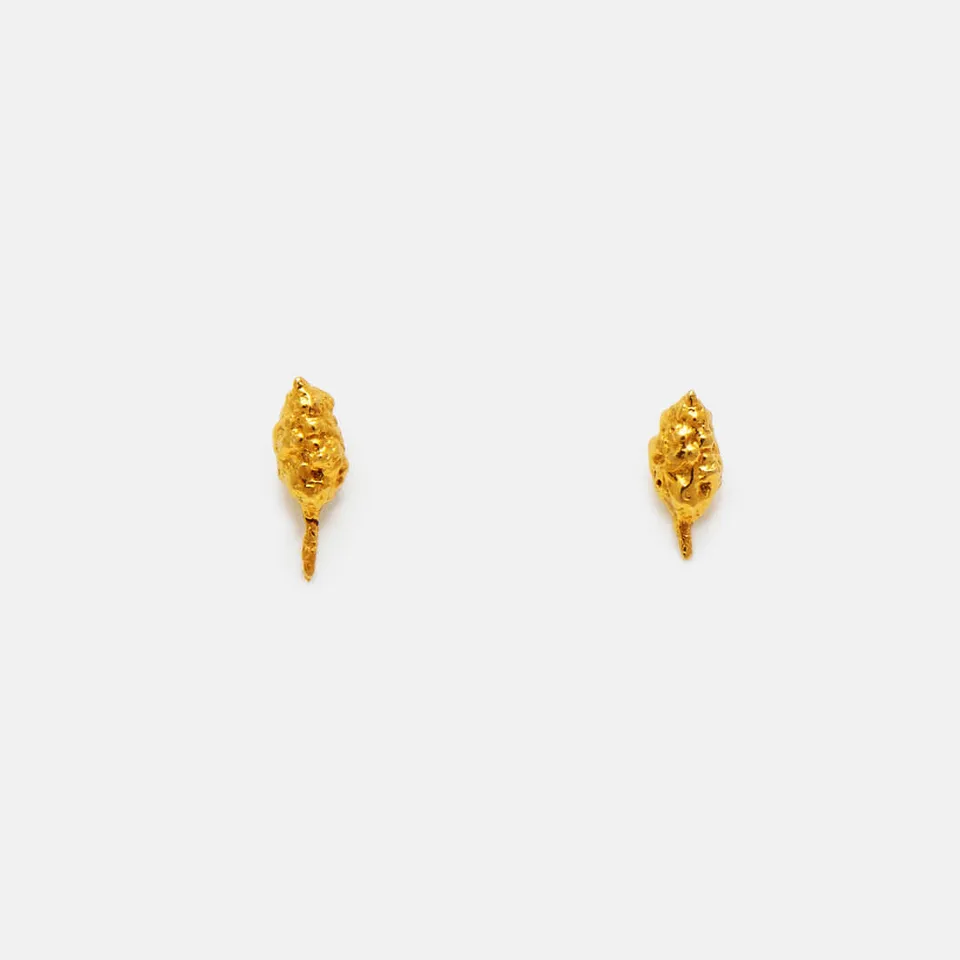 agapi-forestland-seeds-of-the-forest-boucles-d-oreilles-dor-graine image 1