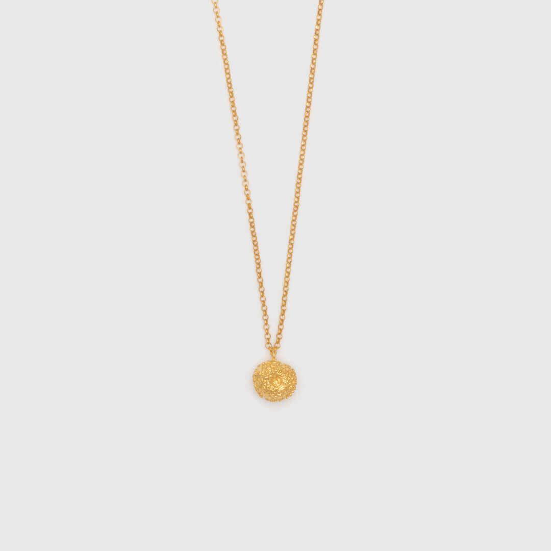 agapi-forestland-collier-graine-ronde-dor-scintillant-grand image 3