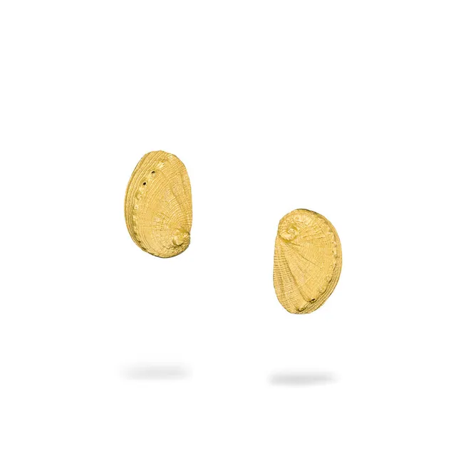 agapi-seastories-ear-shell-puces-d-oreilles-coquillage-dor image 1