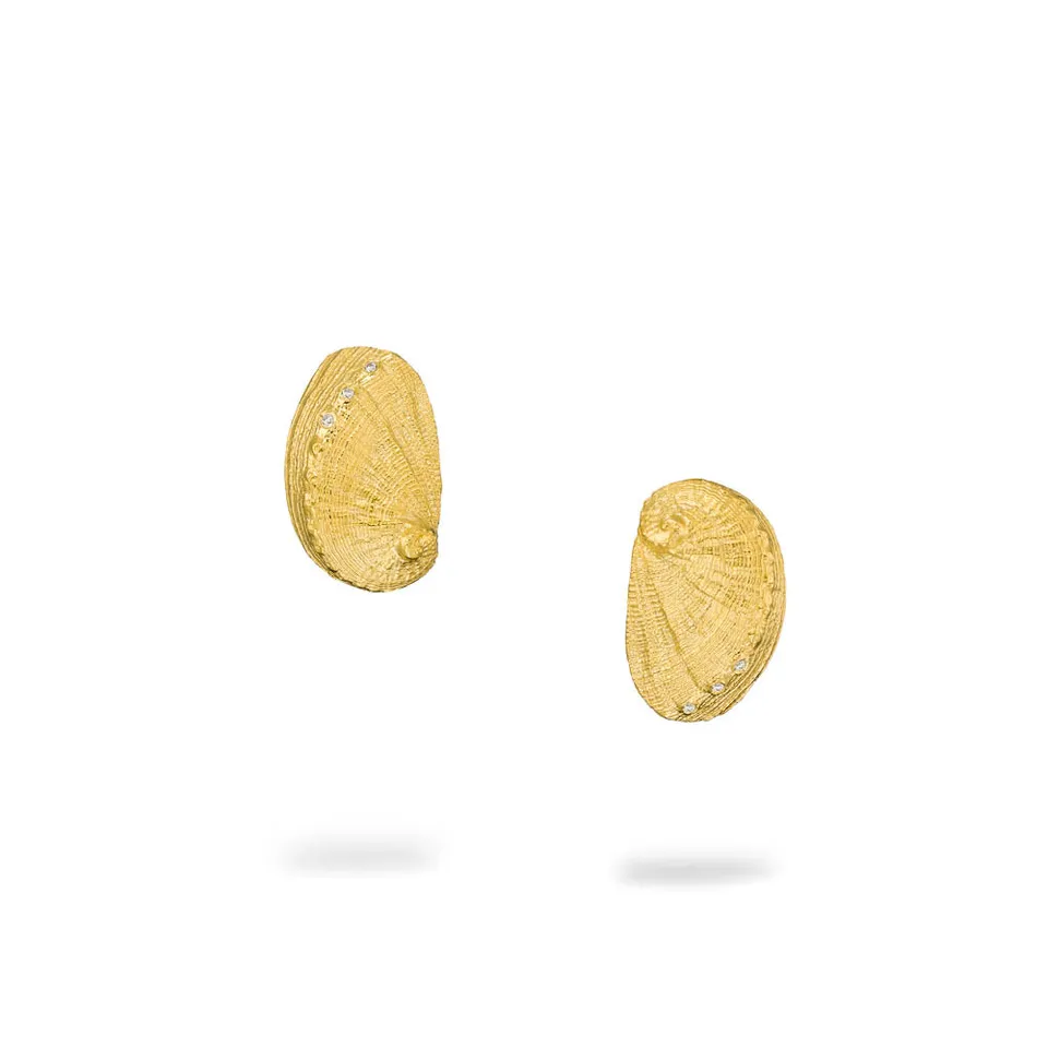 agapi-seastories-ear-shell-puces-plaqu-or-zircon image 1