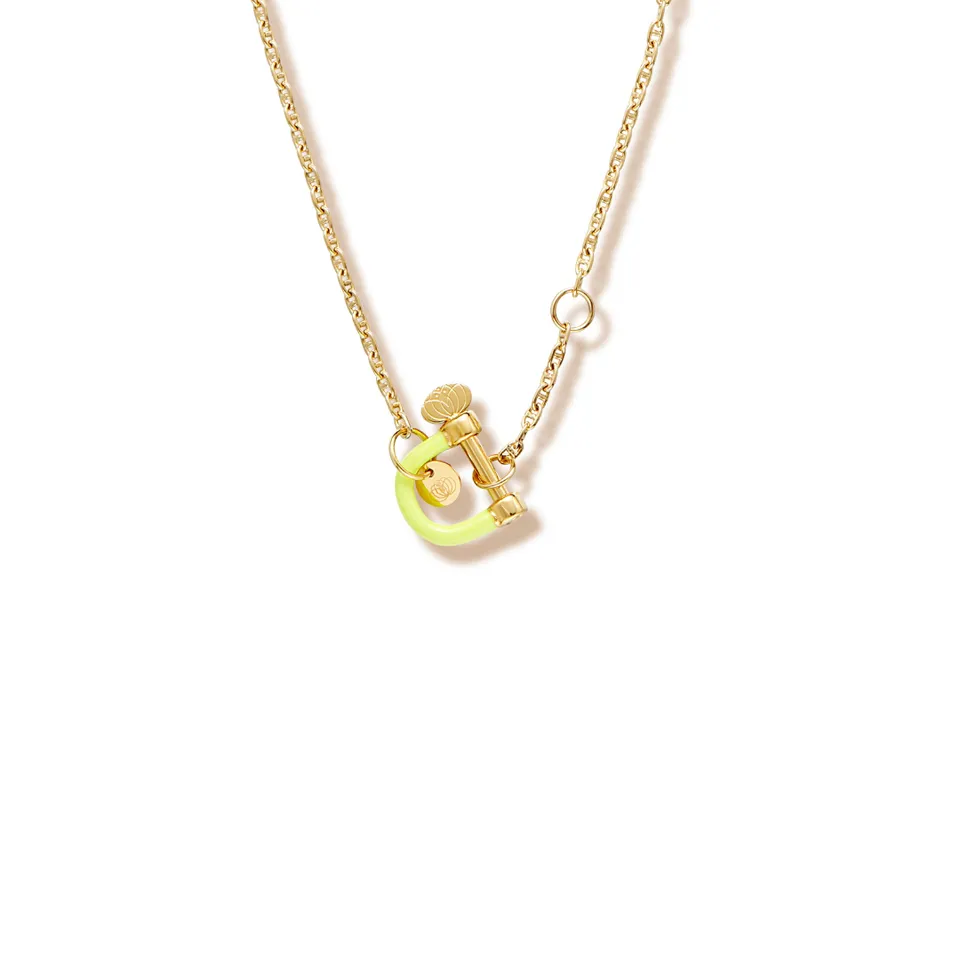 armeria-manilles-collier-manille-jaune-acier-inoxydable-49-cm image 1